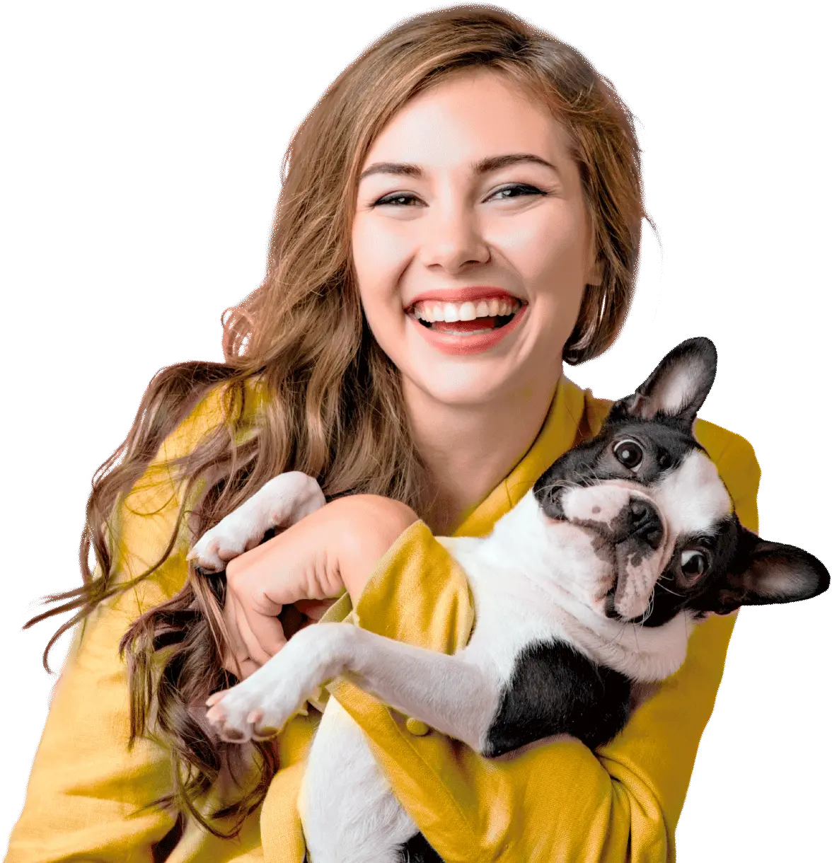 Clínica veterinária Afeto Pet Araraquara