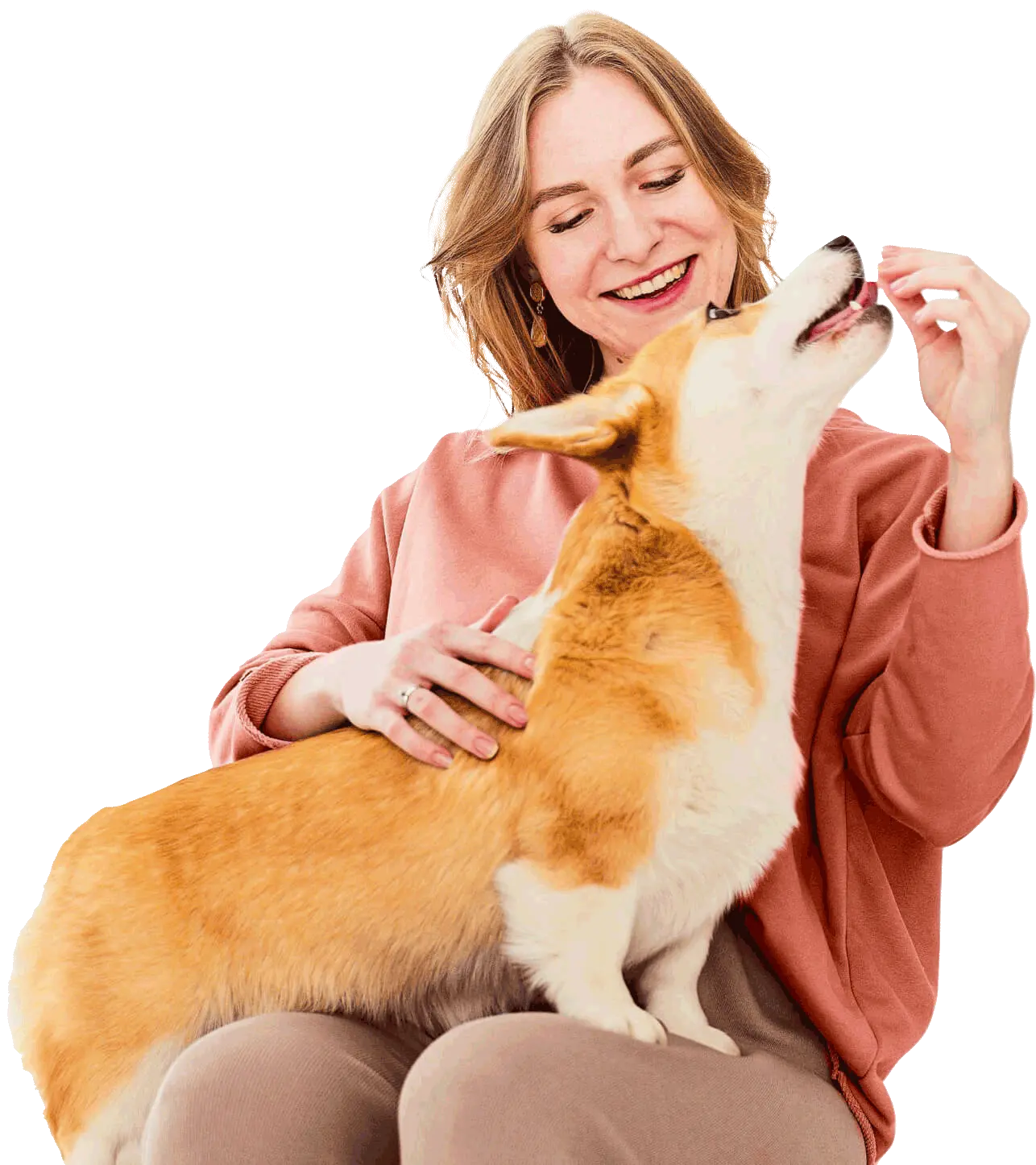 Clínica veterinária Afeto Pet Araraquara